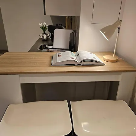 Charming In - 30 Sqm With Terrace * Lisse