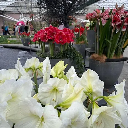 Charming In - 30 Sqm With Terrace Apartment