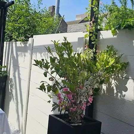 Apartamento Charming In - 30 Sqm With Terrace *