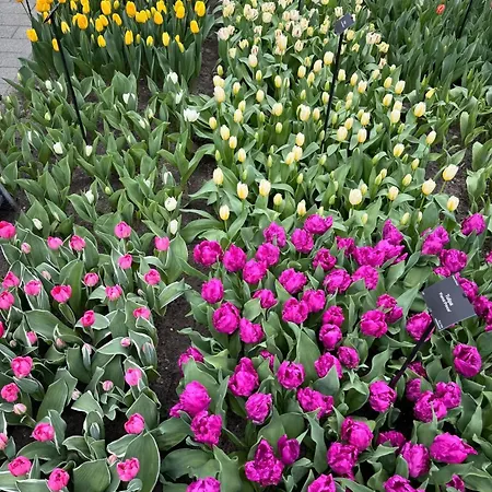 Charming In - 30 Sqm With Terrace