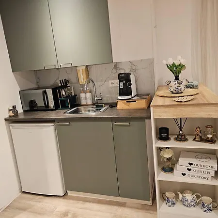 Charming In - 30 Sqm With Terrace * Lisse