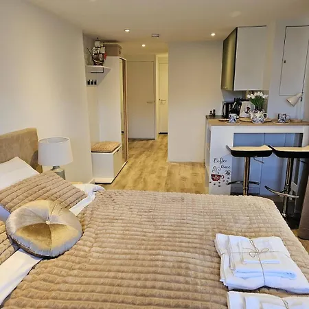 Charming In - 30 Sqm With Terrace * Lisse