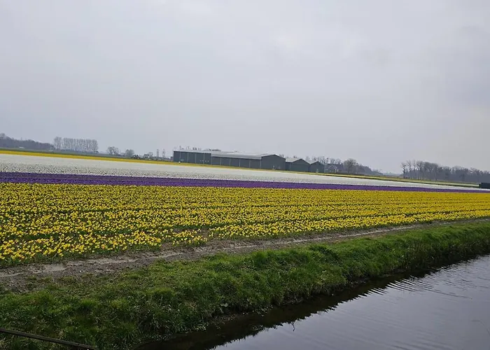 Charming In - 30 Sqm With Terrace Apartmán Lisse