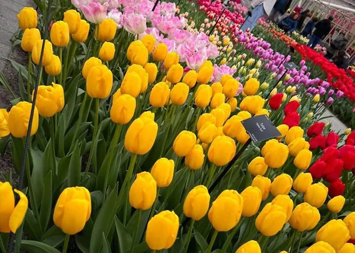 Charming In - 30 Sqm With Terrace Apartmán *