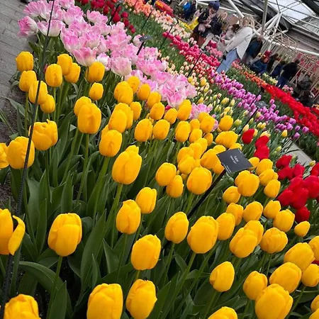 Charming In - 30 Sqm With Terrace شقة *