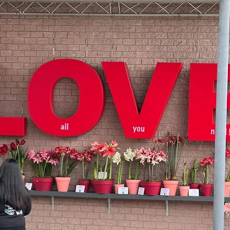 Charming In - 30 Sqm With Terrace شقة *