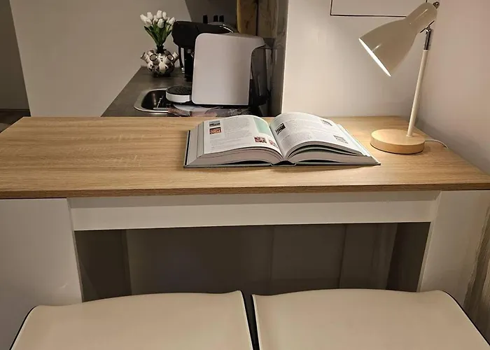 Charming In - 30 Sqm With Terrace * Lisse