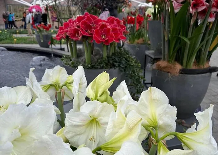 Charming In - 30 Sqm With Terrace Apartamento