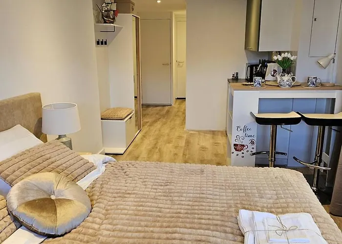 Charming In - 30 Sqm With Terrace * Lisse