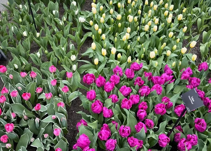 Charming In - 30 Sqm With Terrace